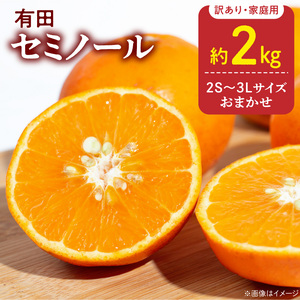 【2027年先行予約】訳あり 家庭用 セミノール  和歌山 有田  2S～3Lサイズ混合 約2kg_DZ6225