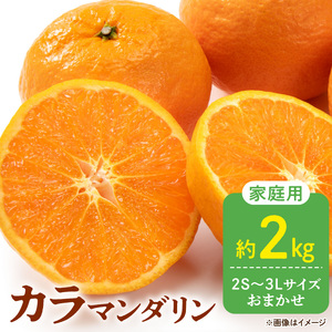 【2027年先行予約】訳あり 家庭用 カラマンダリン なつみ 和歌山 有田  2S～3Lサイズ混合 約2kg_DZ6223