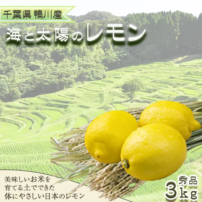 《１月発送》 【皮まで食べられる】海と太陽のレモン【秀品】３kg（約25個） [0011-0057]