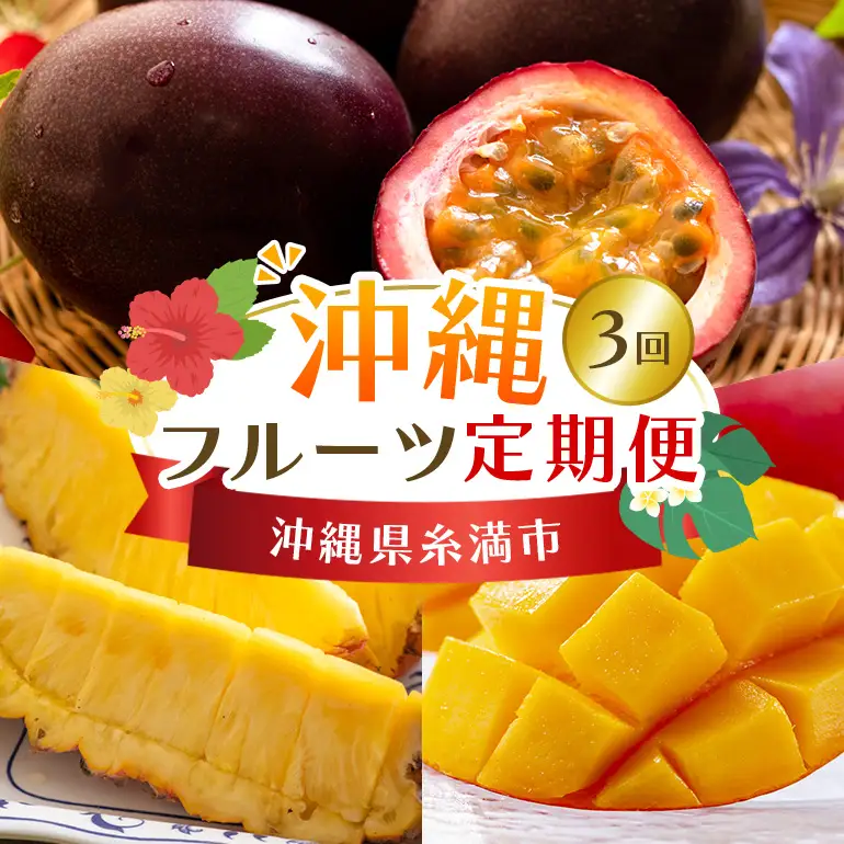 フルーツ 定期便 全 3回 名護パイン園 178-5