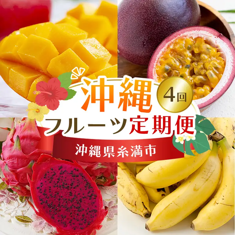 フルーツ 定期便 全 4回 名護パイン園 178-7