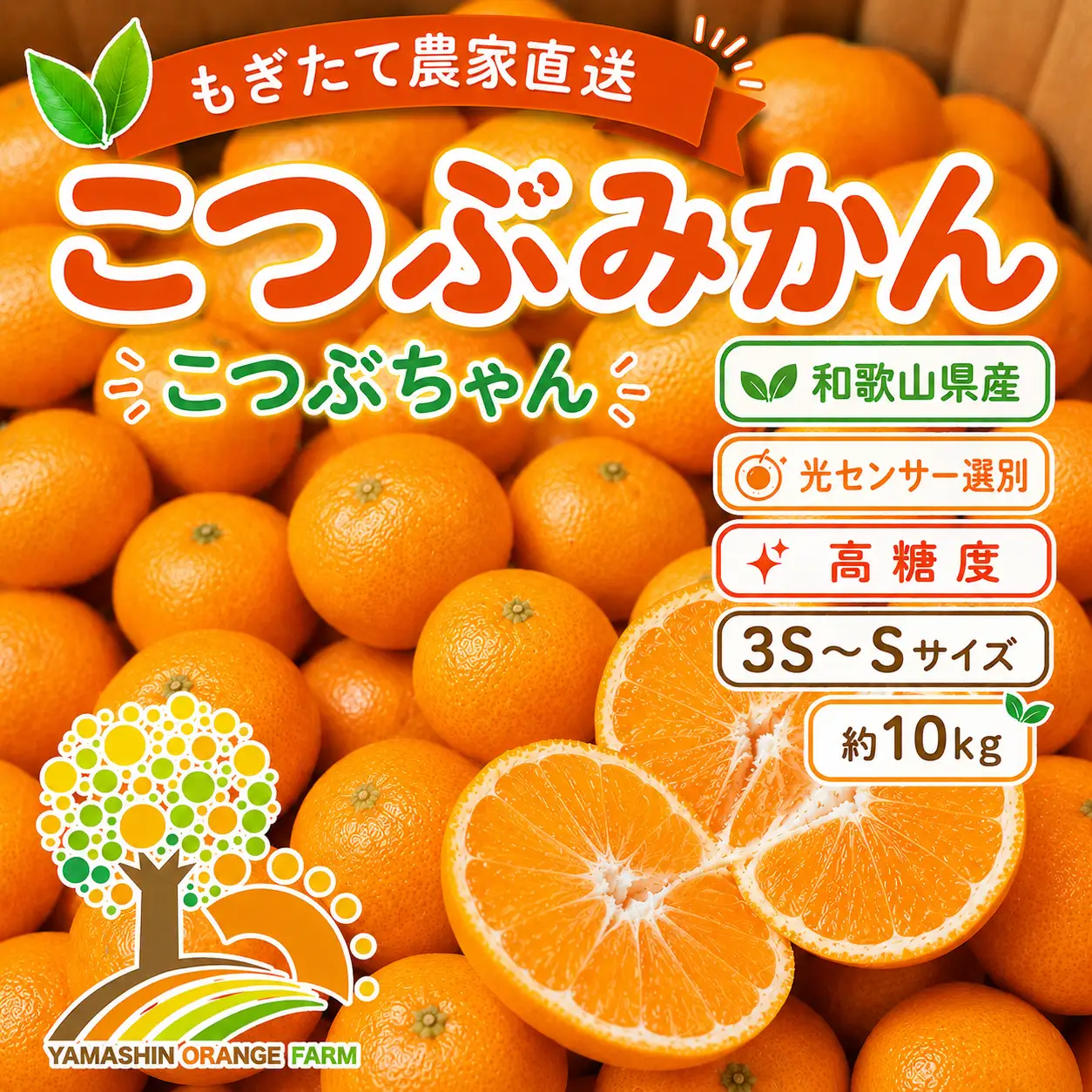 ちっちゃな 有田みかん こつぶみかん10kg （3S～2Sサイズ混合）| 小粒 光センサー選別 温州みかん みかん 柑橘 果物 くだもの フルーツ