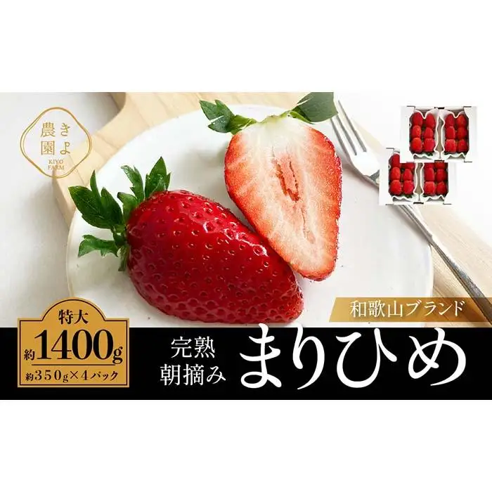 特大まりひめイチゴ 朝摘 6個～11個入×4パック［2027年1月中旬頃より発送］［先行予約］［KT4］