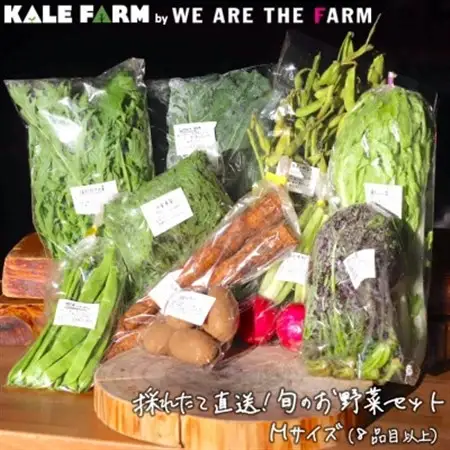 採れたて直送!旬のお野菜セット Mサイズ(8品目以上)【種類おまかせ】_野菜   _【配送不可地域：離島】【1329347】