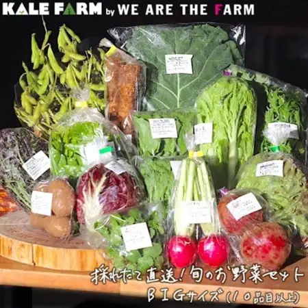 採れたて直送!旬のお野菜セット BIGサイズ(10品目以上)【種類おまかせ】_野菜   _【配送不可地域：離島】【1329348】