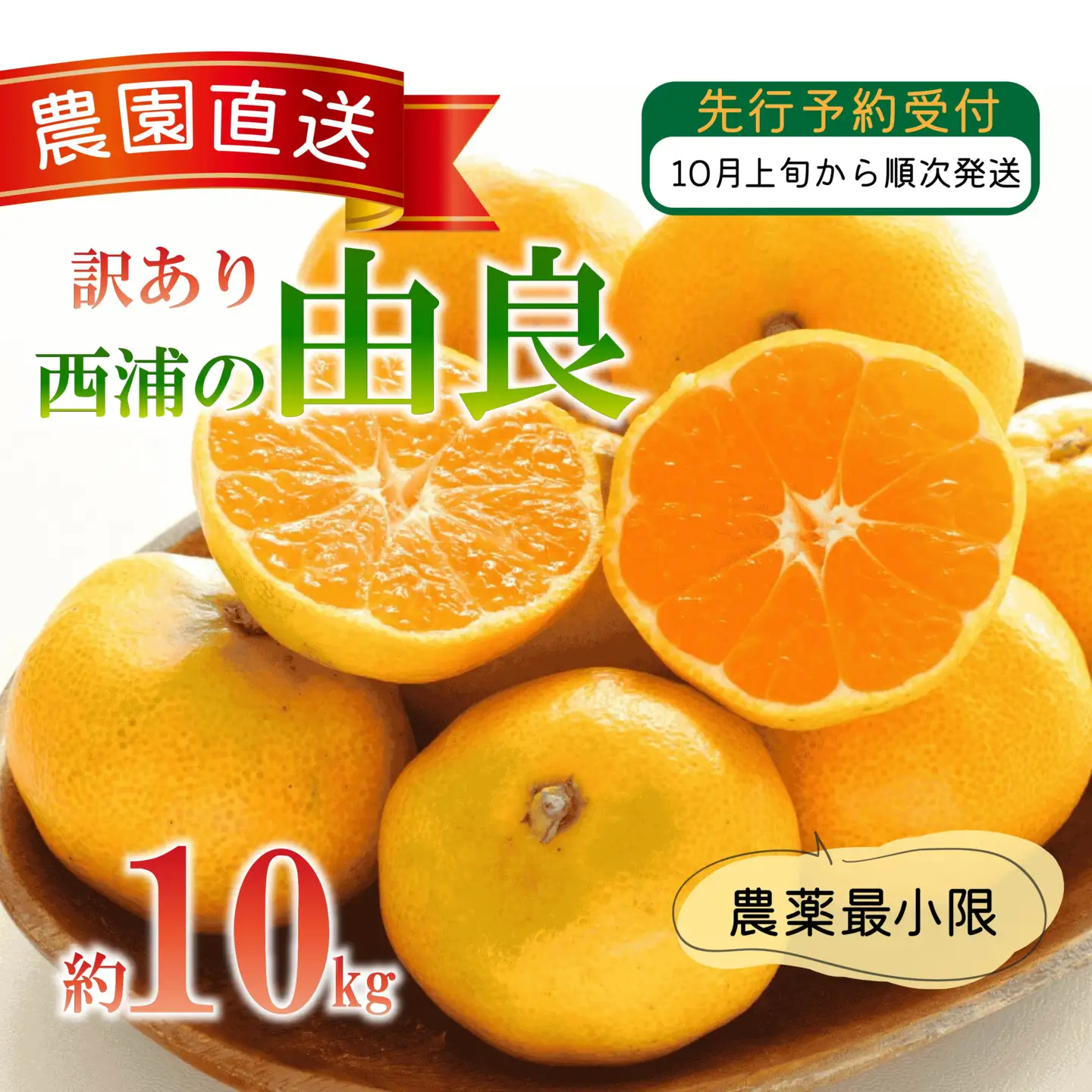 訳あり 西浦 由良みかん 10kg 由良みかん
