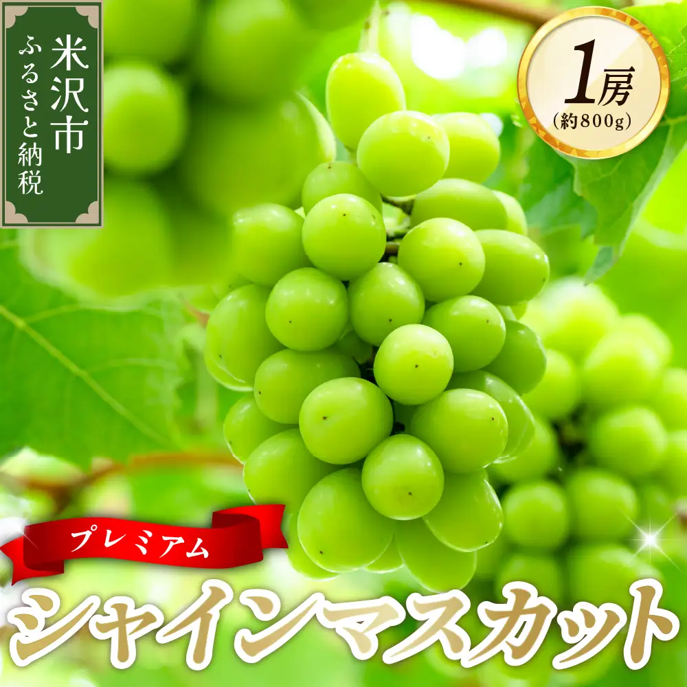 【先行予約】 令和8年産 プレミアム シャインマスカット 1房 約800g