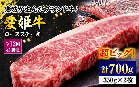 ステーキ 定期便【全12回】（2人前）ステーキ 赤身 牛肉[AGCC042]