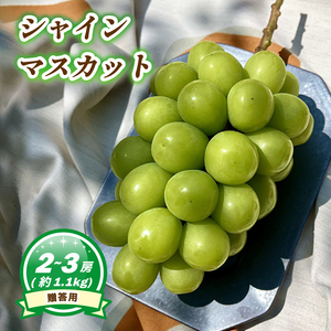 シャインマスカット 約1.1kg ( 2~3房 )  ぶどう【MN0051】