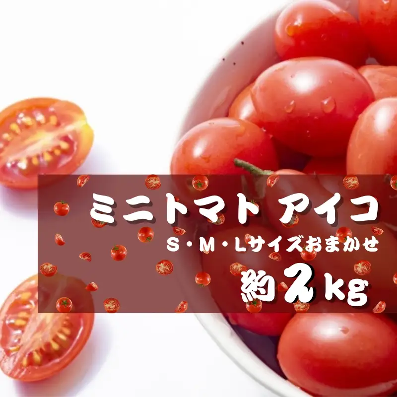 ミニトマト アイコ (松トマト） 約2kg（S・M・Lサイズおまかせ）【2月発送】【sml131A-2】