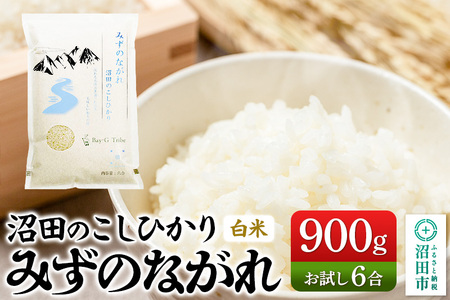 令和7年産 沼田のこしひかり「みずのながれ」お試し六合 900g 群馬県
