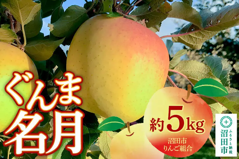 《11月中旬～12月上旬発送》沼田市りんご組合 りんご（ぐんま名月）約5kg 群馬県沼田市