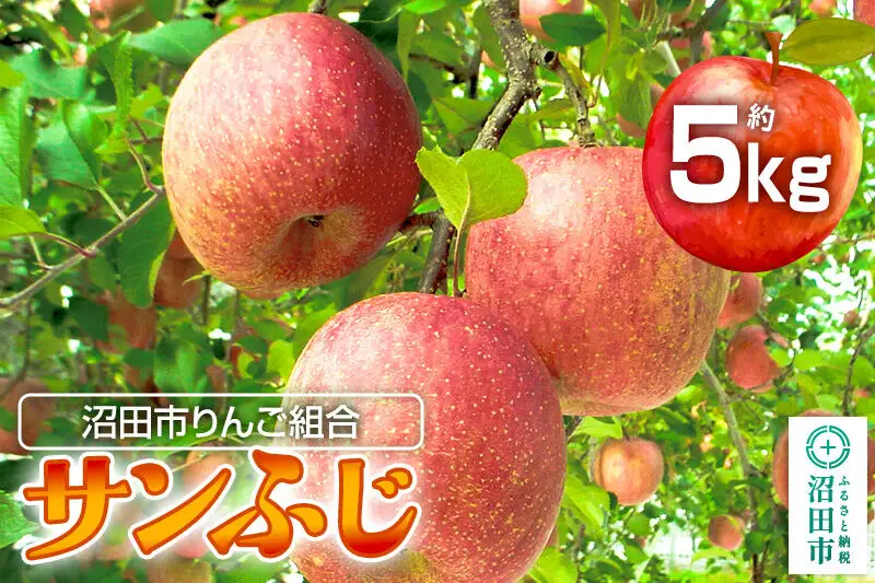 《12月下旬～1月中旬発送》沼田市りんご組合 りんご（サンふじ）約5kg 群馬県沼田市