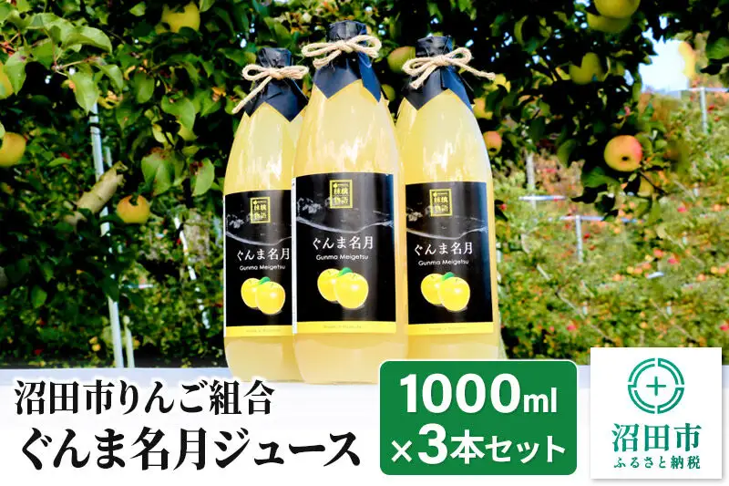 《2027年1月中旬～2月上旬発送》沼田市りんご組合 ぐんま名月ジュース（ストレート）1000ml×3本セット