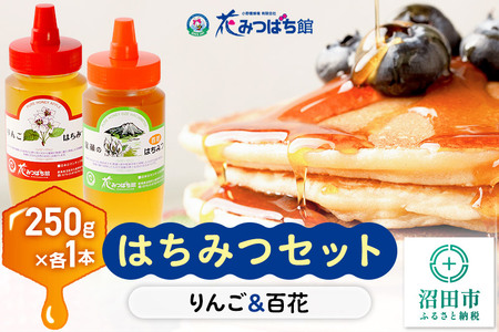《満天☆青空レストラン紹介》 りんご・尾瀬のはちみつ（百花）セット 各250g 花みつばち館