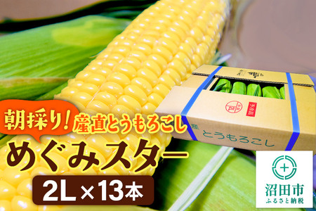 《8月上旬～下旬発送》朝採りとうもろこし めぐみスター 2Lサイズ13本【群馬県沼田市利根町産】