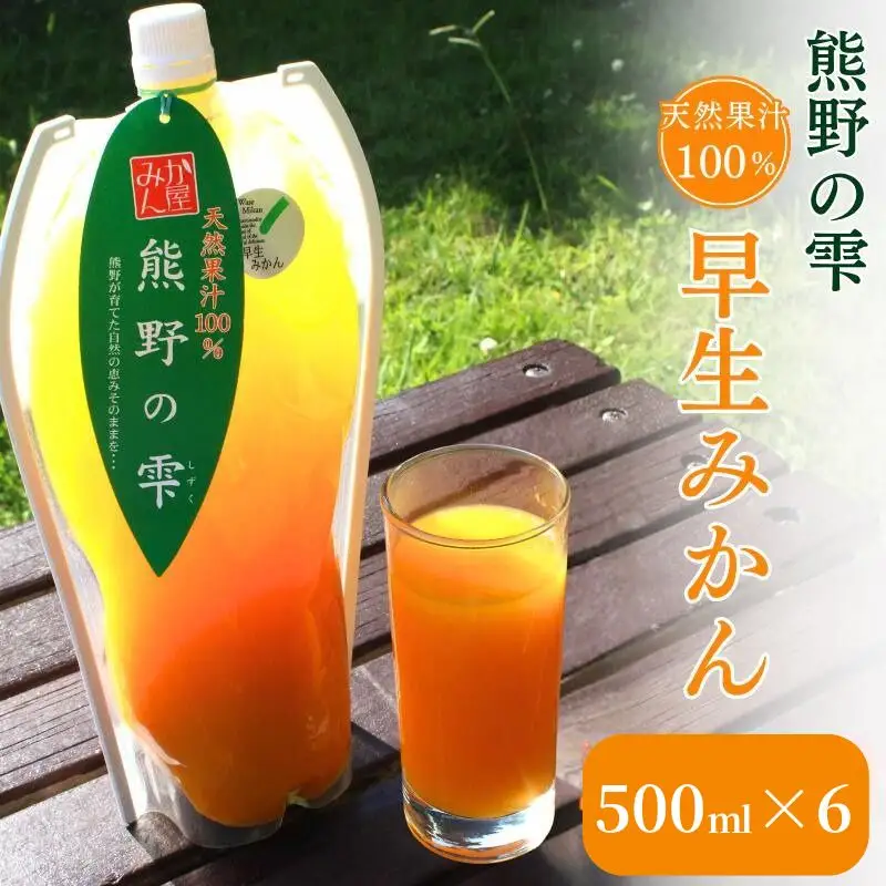 天然果汁100％ みかんジュース 熊野の雫【温州みかん（早生）】500ml×6 / ミカンジュース 早生みかん 温州 生搾り 果汁100％ ストレート パウチ入 柑橘 和歌山県 田辺市【hso006】
