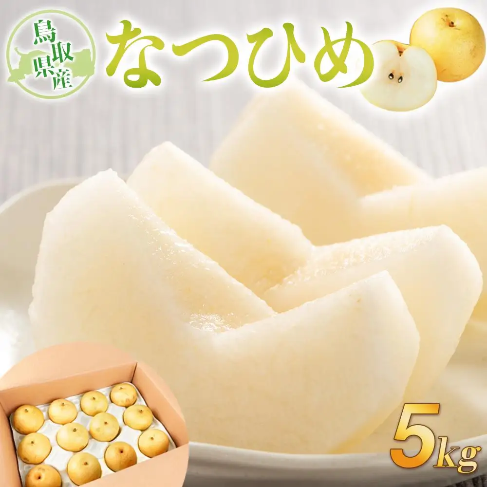 梨 なつひめ 鳥取産 5kg× 1箱