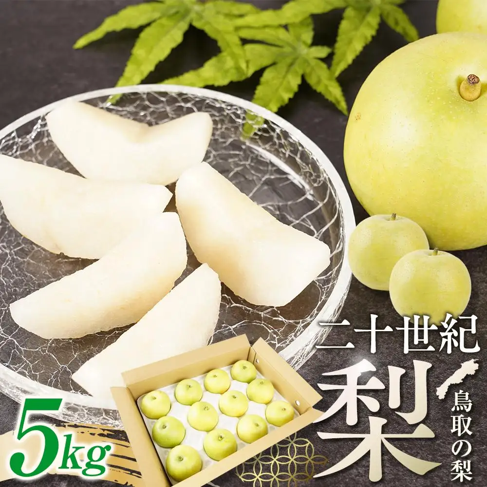 梨 二十世紀梨 鳥取産 5kg× 1箱