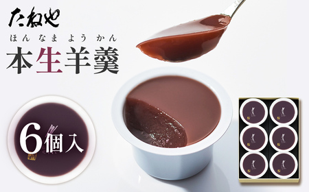 たねや 本生羊羹 6個入り 羊羹 和菓子