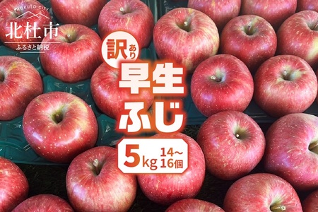 【2026年先行予約】【訳あり】早生ふじ5kg(14個～16個） りんご 山梨県産 早生ふじ 期間限定 家庭用 規格外 フルーツ 果物 果実 山梨 北杜市 [h301]