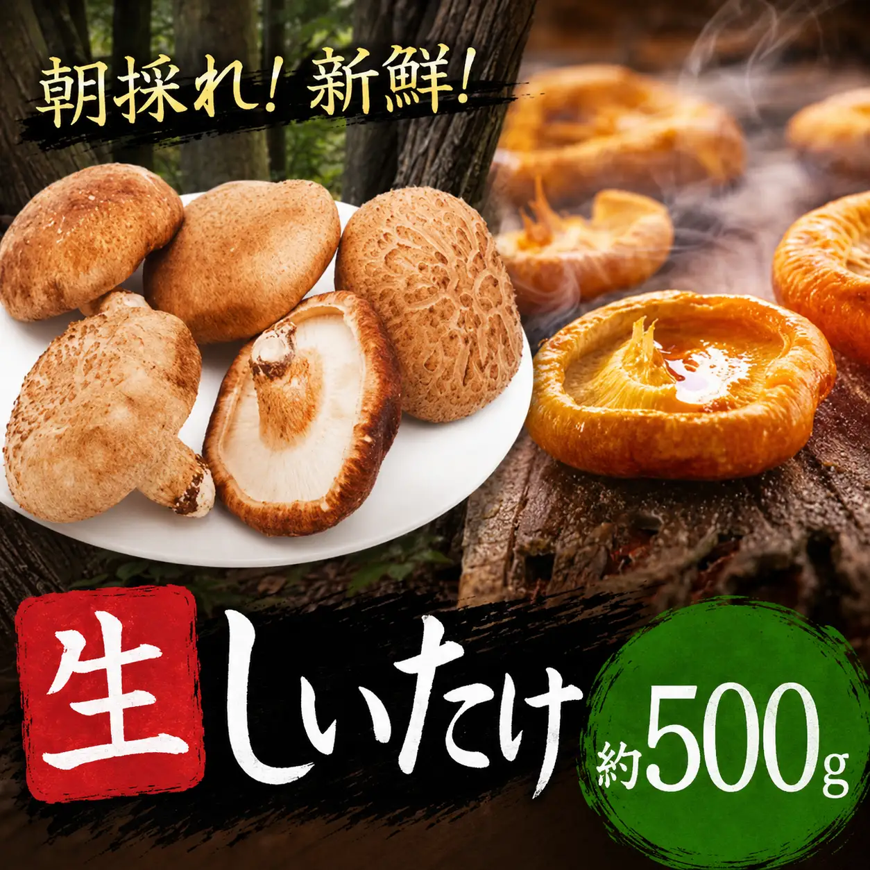 朝どれ 新鮮 生しいたけ 約500g | 山菜 野菜 きのこ キノコ しいたけ シイタケ 椎茸 生シイタケ 生椎茸 しんせん 熊本県 玉名市
