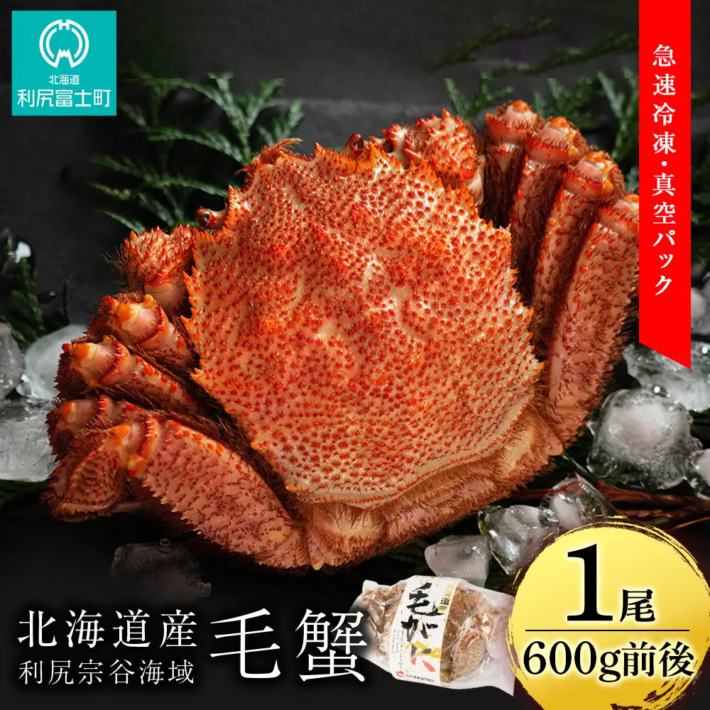 北海道 利尻・宗谷産 毛ガニ 中サイズ（600g前後）1尾＜利尻漁業協同組合＞