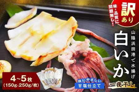 【訳アリ】白いか一夜干し （150g～250gｘ4～5枚）訳アリ 小分け いか 白いか 個包装 一夜干し 産地直送 おつまみ 【136_2003】