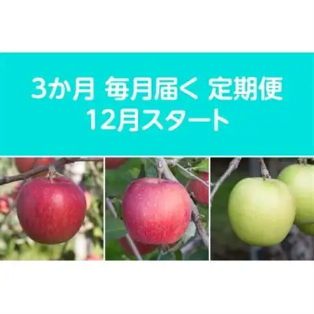 【発送月固定定期便】〈2026年12月より順次発送〉甘味系・青森県産りんご約3kg 全3回_果物・フルーツ りんご  リンゴ 林檎  定期便 定期便  _【配送不可地域：離島・沖縄県】【4051690】