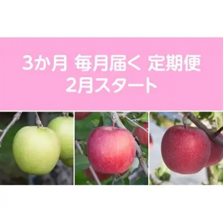 【発送月固定定期便】〈2027年2月より順次発送〉甘味系・青森りんご約3kg 全3回_果物・フルーツ りんご  リンゴ 林檎  定期便 定期便  _【配送不可地域：離島・沖縄県】【4051692】