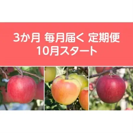 【発送月固定定期便】〈2026年10月より順次発送〉甘味系・青森県産りんご約5kg 全3回_果物・フルーツ りんご  リンゴ 林檎  定期便 定期便  _【配送不可地域：離島・沖縄県】【4051694】