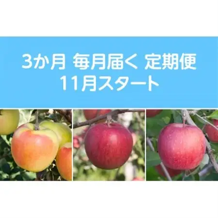 【発送月固定定期便】〈2026年11月より順次発送〉甘味系・青森県産りんご約5kg 全3回_果物・フルーツ りんご  リンゴ 林檎  定期便 定期便  _【配送不可地域：離島・沖縄県】【4051695】