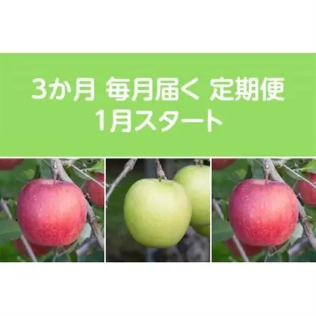 【発送月固定定期便】〈2027年1月より順次発送〉甘味系・青森りんご約5kg 全3回_果物・フルーツ りんご  リンゴ 林檎  定期便 定期便  _【配送不可地域：離島・沖縄県】【4051697】