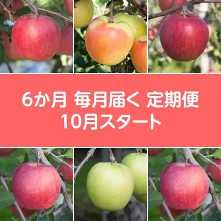 【発送月固定定期便】〈2026年10月より順次発送〉甘味系・青森県産りんご約3kg 全6回_果物・フルーツ りんご  リンゴ 林檎  定期便 定期便  _【配送不可地域：離島・沖縄県】【4051700】