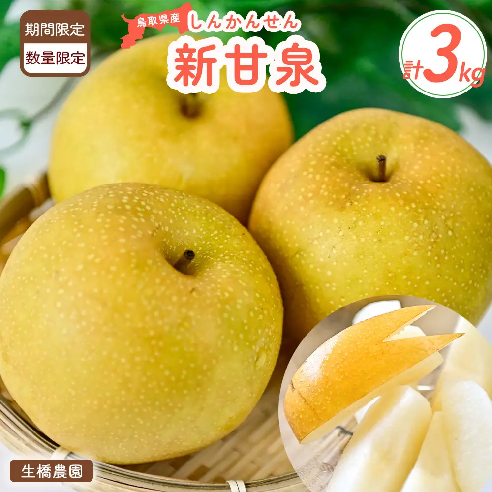 【鳥取県産】新甘泉 梨 3kg（生橋農園） 梨