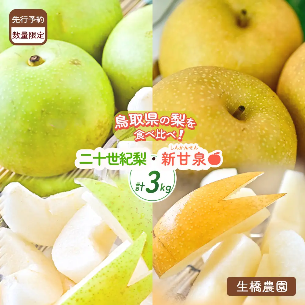 梨 新甘泉 二十世紀梨 食べ比べ 3kg（生橋農園）鳥取県産