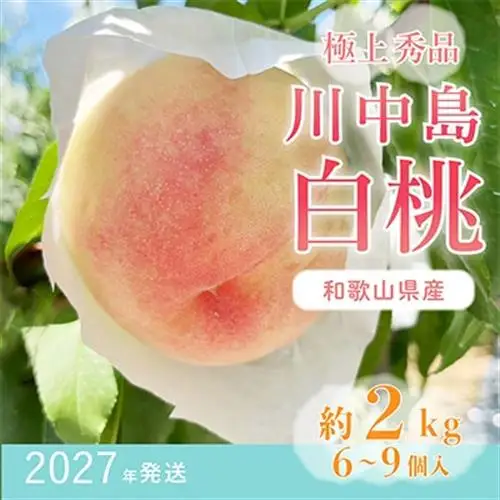 先行受付! 桃【川中島白桃】 (大玉特秀品) 約2kg 6～9個入 こだわり