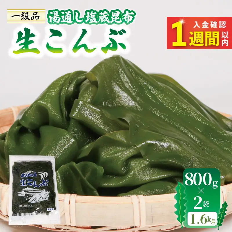 塩蔵 生こんぶ 2袋 (1.6kg) コンブ 昆布 海藻 海産物 海鮮 魚介 魚介類 おでん 煮物 三陸 岩手県 大船渡市