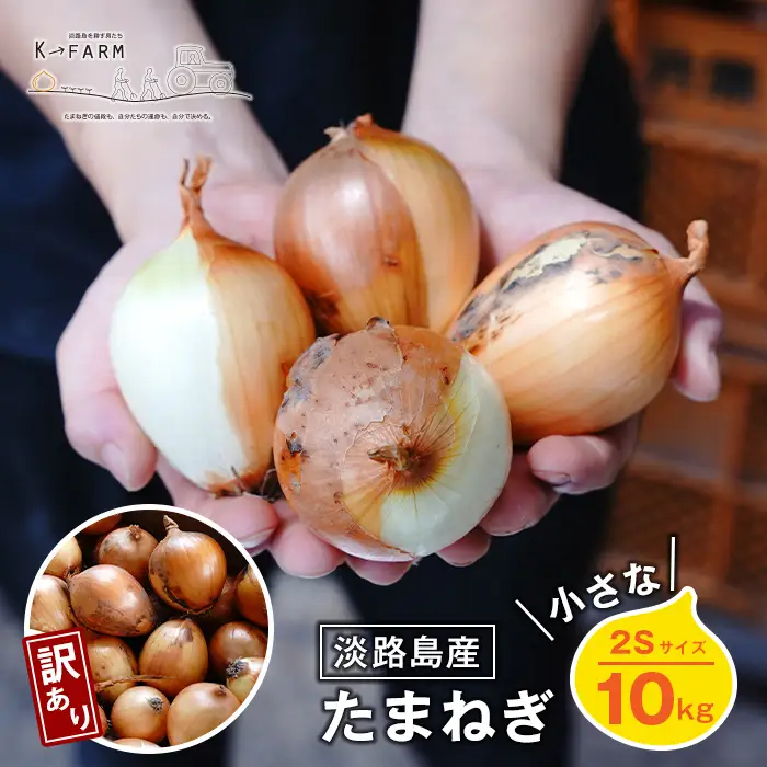 【訳あり】小さな淡路島玉ねぎ 2Sサイズ 10kg　玉ねぎ