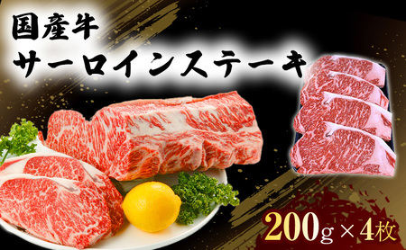 国産牛 サーロイン ステーキ 国産牛【200g×4】