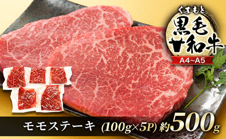 牛肉 A4〜A5 くまもと 黒毛和牛 モモ ステーキ 牛肉【約500g(100g×5p)】