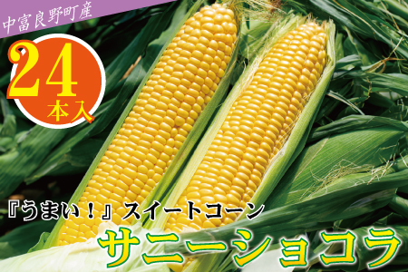 【中富良野町　寺坂農園】とうもろこし『サニーショコラ』（24本入り）【BF-011】