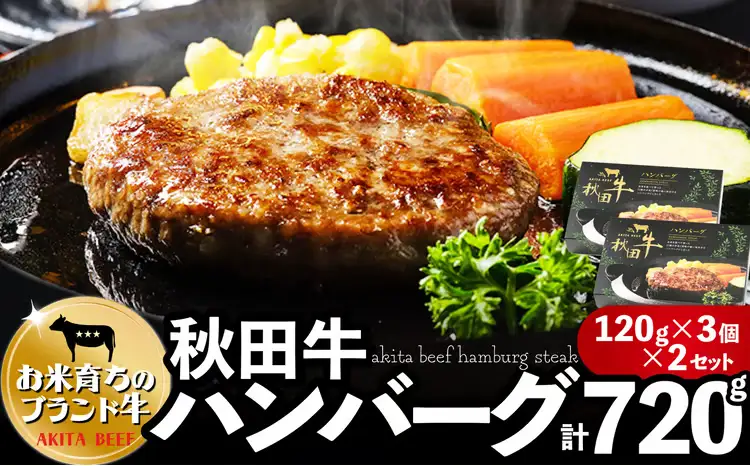 秋田牛ハンバーグ720g（120g×3個　2セット）　115P2601【東日本物産 】