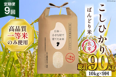 米 令和7年 ばんどり米 コシヒカリ 玄米 10kg 9回 定期便 総計90kg