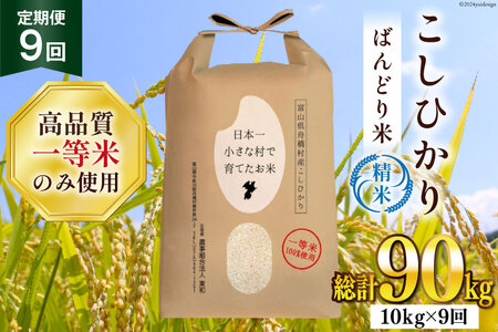 米 令和7年 ばんどり米 コシヒカリ 精米 5kg 2袋 計10kg 9回 定期便 総計90kg