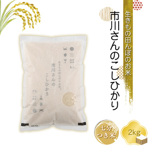 【令和7年産・7分つき米2kg】生きもの田んぼのお米 市川さんのこしひかり 農薬 化学肥料 除草剤不使用 信州【 米 コメ 備蓄品 仕送り おすそ分け 備蓄米 長野県 佐久市 】