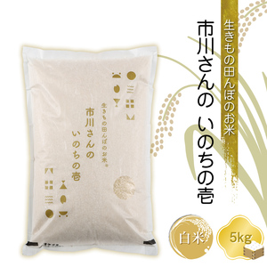 【令和7年産・白米5kg】生きもの田んぼのお米 市川さんのいのちの壱 農薬 化学肥料 除草剤不使用 信州【 米 コメ 備蓄品 仕送り おすそ分け 備蓄米 長野県 佐久市 】