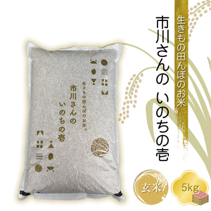【令和7年産・玄米5kg】生きもの田んぼのお米 市川さんのいのちの壱 農薬 化学肥料 除草剤不使用 信州【 米 コメ 備蓄品 仕送り おすそ分け 備蓄米 長野県 佐久市 】