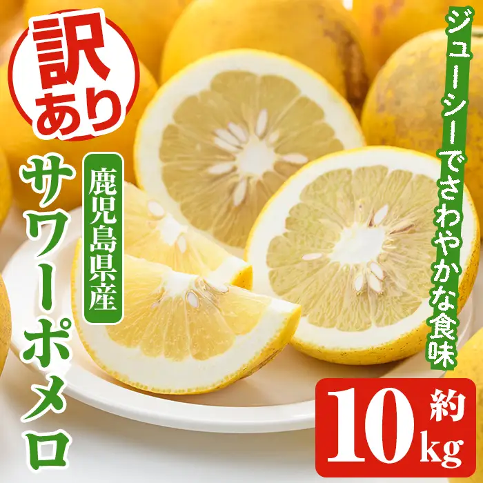 ＜先行予約受付中！2027年1月以降順次発送予定＞訳ありサワーポメロ(約10kg) 国産 果物 フルーツ 柑橘 甘味 酸味 デザート おやつ【松永青果】akn053-16