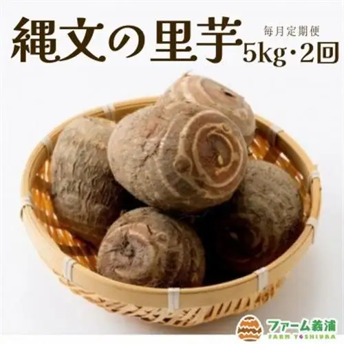 【毎月定期便】富山県小矢部市産「縄文の里芋」5kg全2回【4053309】
